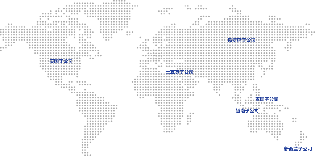 华人策略研究论坛网址
